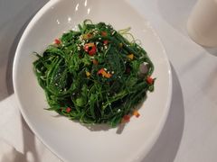 凉拌丝瓜尖-峨嵋酒家总店(车公庄店)