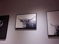 -蜀滋香鲜鱼火锅(黄金路店)