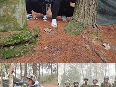 -铁山坪森林公园