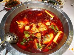 红锅锅底-蜀滋香鲜鱼美蛙火锅(339店)