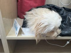 -北京观赏动物医院·24小时大型综合·猫专科·异宠专科