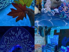 -海合安天津极地海洋公园
