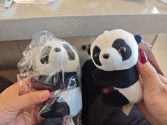 -海底捞火锅(CBD安泰广场店)