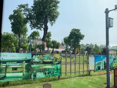 -上海长兴岛郊野公园