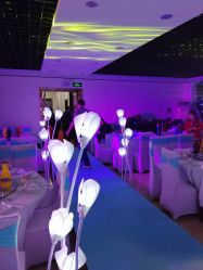 -雅奇婚庆(永乐园社区店)