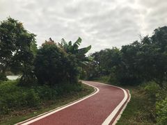 -鹤之洲湿地公园