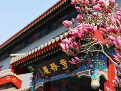 -天津大悲禅院