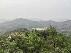 -广州市白云山风景名胜区
