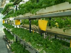 -中国农科院国家农业科技展示园