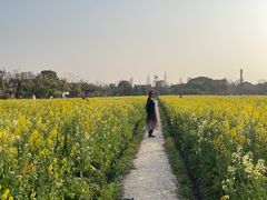-广富林郊野公园
