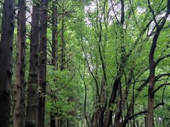 -同里国家湿地公园