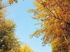 -辽宁大学(崇山校区)