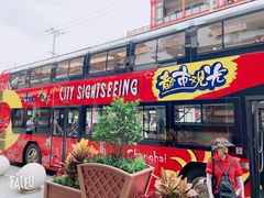 -BUS TOUR观光巴士