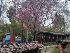 -黄龙溪古镇