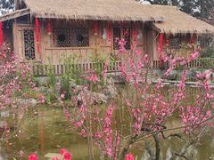 -南山植物园