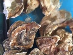 -渔中舟海鲜大排档(普陀沈家门店)