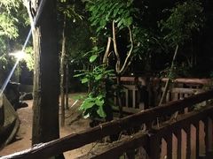 -清迈夜间动物园