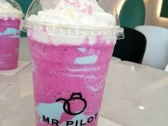 -飞行喵MR PILOT|猫舍·猫咖(静安大融城店)