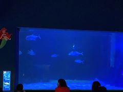 -常州海昌海洋探索馆