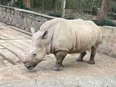 -杭州野生动物世界