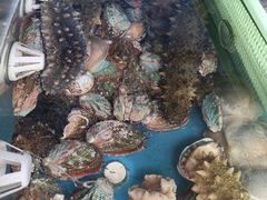 -听海潮渔家酒楼(大沙湾店)