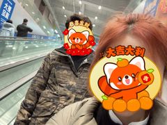 -盒马X会员店(王府井奥莱UP TOWN店)
