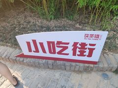 -茯茶镇
