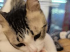 -谜盒子奇幻密室(南屏店)