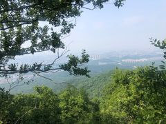-紫金山山顶公园