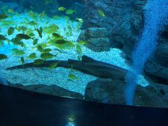 -烟台海昌鲸鲨海洋公园