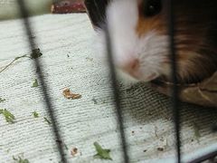 -合肥融创水世界