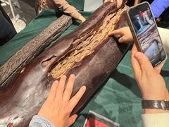 -银座和谐广场