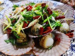 油泼扇贝-1937青岛老味道·青岛菜(大鲍岛栈桥店)