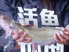 -老板恋上鱼(恒隆广场店)