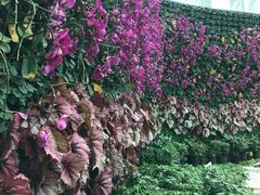 -石家庄市植物园