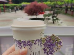 -嘉定紫藤园