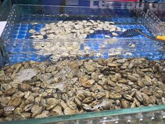 -亚马逊海鲜自助(梅溪湖步步高店)