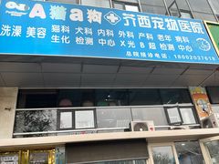 -A猫a狗全科·犬猫异宠·芥西宠物医院(南开总院)