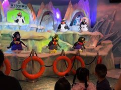 -帝企鹅自助餐厅•儿童岛•真企鹅(长隆企鹅酒店)