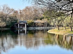 -上海共青森林公园