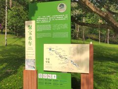 -莫里热带雨林景区