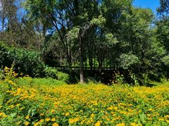 -玉渡山自然风景区