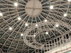 -高新活力汇Vitality