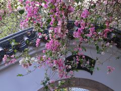 -深圳国际园林花卉博览园