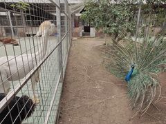 -迪茵湖田家舍生态农场