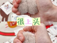 -猫员外精酿啤酒馆(壹海城店)