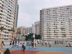 -彩虹村