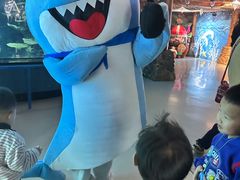 -泉城欧乐堡海洋极地世界