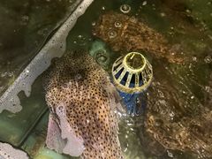 -这片海·海景餐厅(博鳌店)