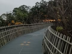 -福道